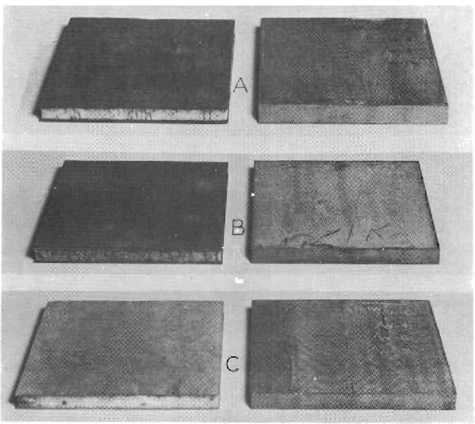 Figure 14.--Effect of 1 year's exposure to the weather on sandwich panels with acetate cores.