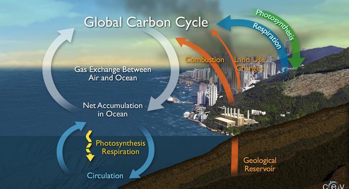 OCEAN WARMING Burning fossil fuels and deforestation are contributing to global climate change which impacts ocean