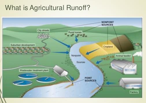 agriculture that runoff into oceans, and agricultural