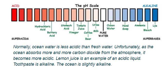 CARBON, OCEANS AND ACIDITY The ocean absorbs carbon dioxide from the atmosphere wherever air meets water. Burning fossil fuels increases the amount of carbon that goes into the oceans.