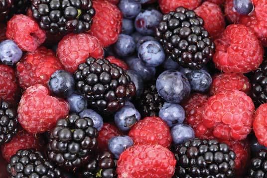 Supermarkets as Alternative Market for Virginia Grown Berries Jayesh B.