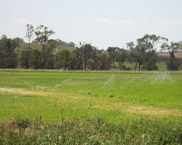The farms increased ryegrass growth and utilisation and delayed the warm season onset of water stress by irrigating more in when plants were actively growing.