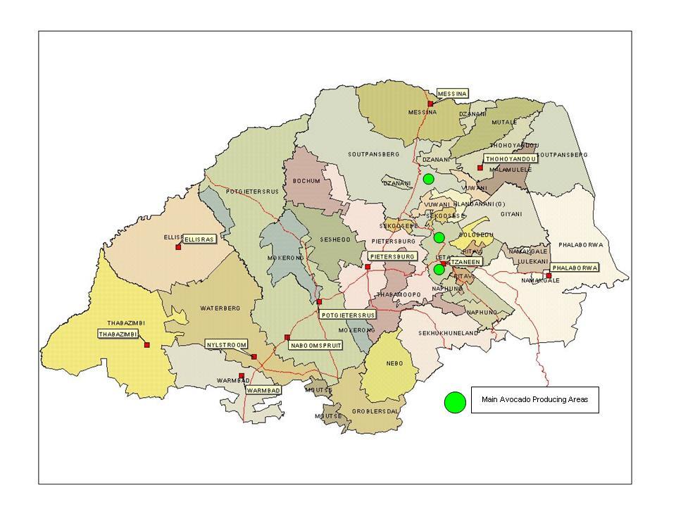 Map 1: Avocado producing areas in Limpopo Province Source: South African Avocado Growers Association (SAAGA) 1.