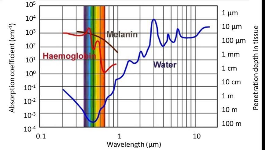 Chapter 1 Page: 2 Figure 1.1: Absorption coefficient of water as a function of wavelength over the span from 200 nm to 10 µm [7].
