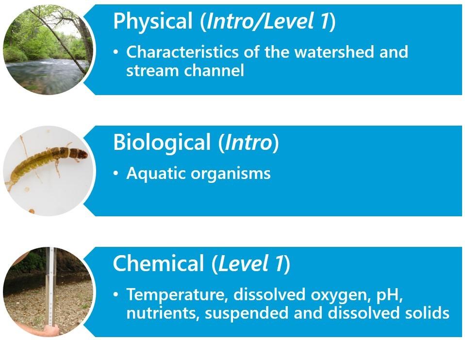 and streams. Today s training will introduce you to the physical and biological components of a stream.