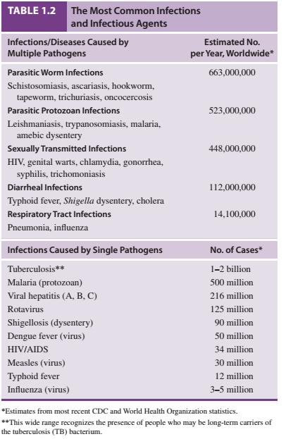 MICROBIAL ROLES IN INFECTIOUS DISEASES Chart comparing the major