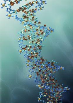 The Modern Age of Microbiology How Do Genes Work?