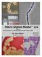 Micro Digital Media 2/e Copyright 2012, Intuitive Systems, Inc. Section: TABLE OF CONTENTS