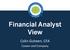 Financial Analyst View
