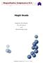 MagSi Beads. Magnetic Silica Beads for Life Science and Biotechnology study