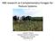 KBS research on Complementary Forages for Pasture Systems