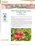 Fruit Diseases. Indiana Disease Management Program for Apples 2018