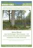 Adze Wood near Northchapel, West Sussex acres Ancient Oak and mixed broadleaf woodland. 19,500 (freehold)