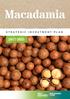 Macadamia STRATEGIC INVESTMENT PLAN
