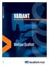 Brochure Modular Scaffold VARIANT v2013/04en VARIANT. Modular Scaffold