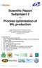 Scientific Report Subproject 2. Process optimisation of BtL production
