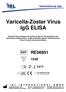 Varicella-Zoster Virus IgG ELISA