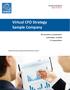 Virtual CFO Strategy Sample Company