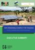 100% RENEWABLE ENERGY FOR TANZANIA. Access to renewable energy for all within generation EXECUTIVE SUMMARY