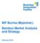 BIF Burma (Myanmar): Bamboo Market Analysis and Strategy