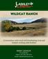 Wildcat Ranch. Mike Lashley Owner Broker Mike s Cell: