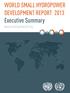 World Small Hydropower Development Report 2013 Executive Summary.