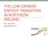 THE LOW CARBON ENERGY TRANSITION IN NORTHERN IRELAND. Prof. John Barry