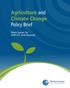 Agriculture and Climate Change Policy Brief. Main Issues for UNFCCC and Beyond