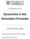 Sensitivities in Wet Granulation Processes