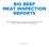 BIG BEEF MEAT INSPECTION REPORTS. These inspection reports were obtained by the Kansas City Star under the federal Freedom of Information Act.