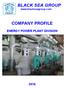 COMPANY PROFILE ENERGY POWER PLANT DIVISION