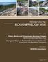 BLANCHET ISLAND MINE. Remedial Action Plan: Public Works and Government Services Canada Northern Contaminated Sites Group