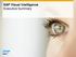 SAP Visual Intelligence Executive Summary