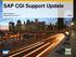 SAP CGI Support Update