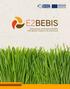 E2BEBIS Environmental and Economic Benefits from Blochar clusters in the Central Area