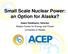 Small Scale Nuclear Power: an Option for Alaska? Gwen Holdmann, Director