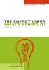 The Energy Union what s behind it? by Malte Fiedler