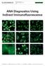 ANA Diagnostics Using Indirect Immunofluorescence