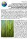 A Summary of Eelgrass (Zostera marina) Reproductive Biology with an Emphasis on Seed Biology and Ecology from the Chesapeake Bay Region
