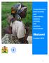 Comprehensive food security and vulnerability analysis (CFSVA) and nutrition assessment. Malawi
