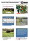 2014 Forage GCA Convention Pasture Projects and Management