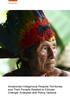 Amazonian Indigenous Peoples Territories and Their Forests Related to Climate Change: Analyses and Policy Options