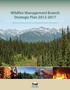 Wildfire Management Branch Strategic Plan Ministry of Forests, Lands and Natural Resource Operations