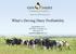 What s Driving Dairy Profitability. Greg Bethard, Ph.D. GPS Dairy Consulting, LLC Blacksburg, VA