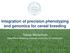 Integration of precision phenotyping and genomics for cereal breeding. Tobias Würschum State Plant Breeding Institute,University of Hohenheim