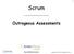 Scrum. Outrageous Assessments Copyright 2009, ADM, All Rights Reserved v1.1