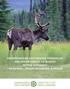 UNDERSTANDING DISTURBANCE THRESHOLDS AND OPPORTUNITIES TO ACHIEVE BETTER OUTCOMES FOR BOREAL CARIBOU IN CANADA: A PRIMER