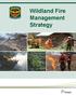 Wildland Fire Management Strategy