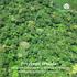 Precious Woods. Sustainable management of tropical forests. Innovative market performance