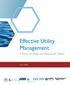 Effective Utility Management. A Primer for Water and Wastewater Utilities